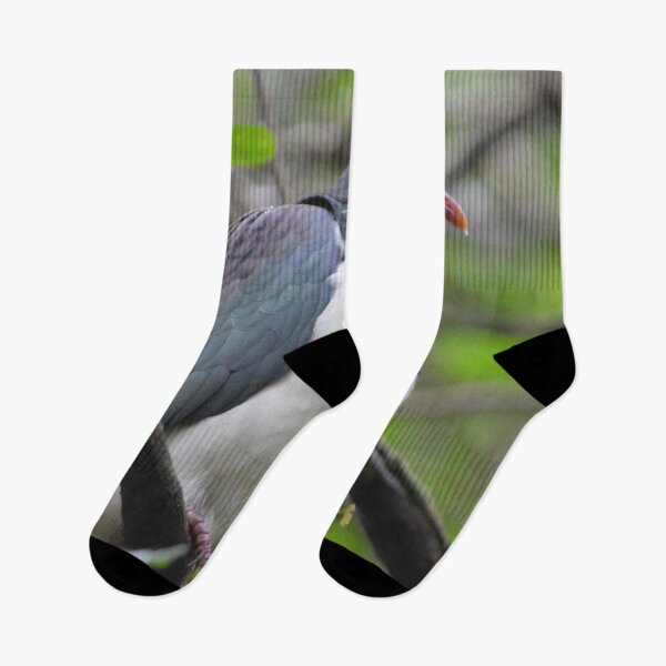 Item preview, Berry Bird- NZ Wood Pigeon- Kereru designed and sold by lizdomett.