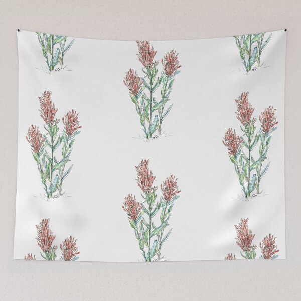Item preview, Indian paintbrush wild flowers designed and sold by Shininglight14.