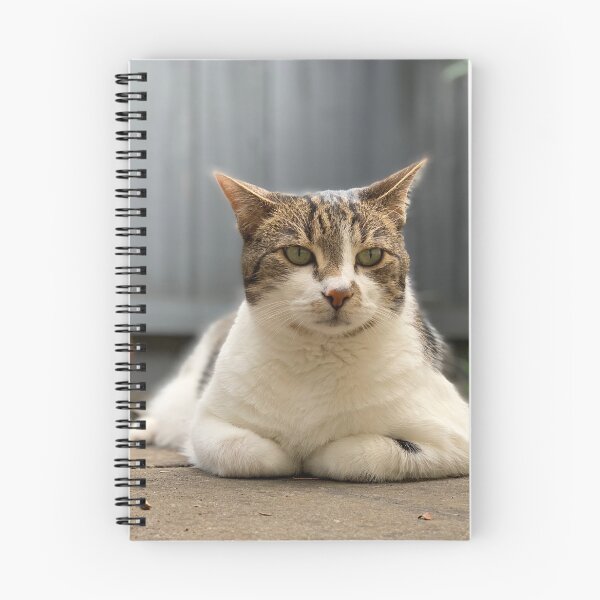 Item preview, Handsome designed and sold by Nicole Sumner.