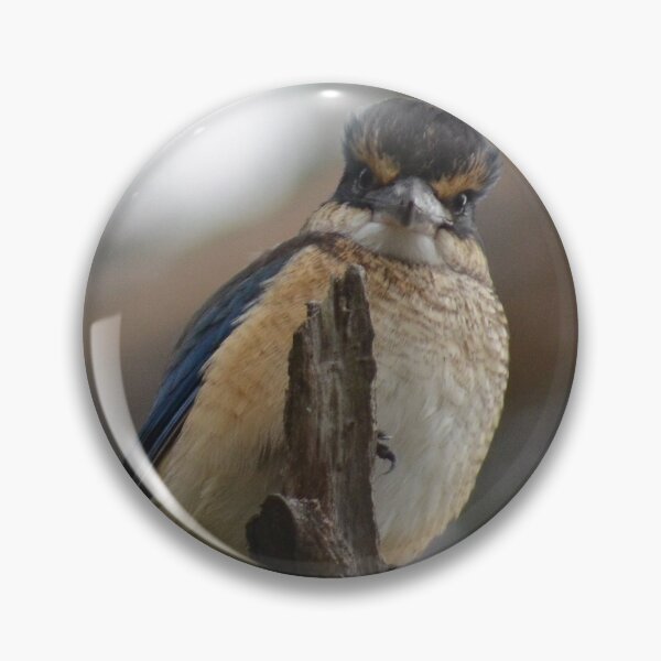 Item preview, Bad Hair Day- New Zealand Birds designed and sold by lizdomett.