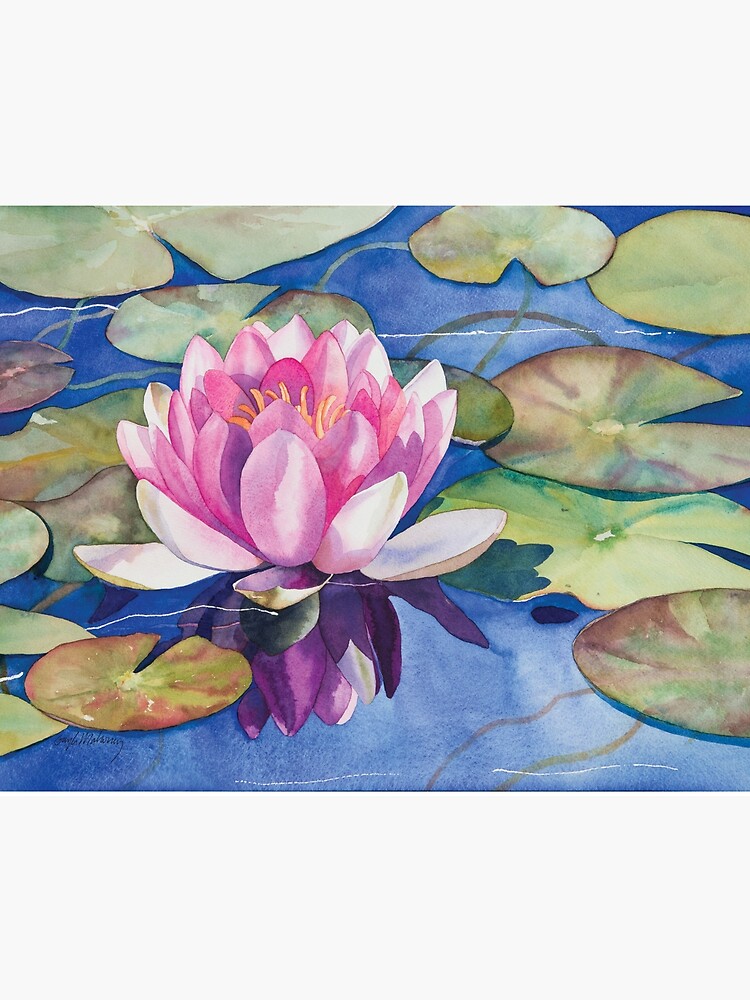 Pink Water Lily Watercolor Art Board Print For Sale By Witheroney Redbubble