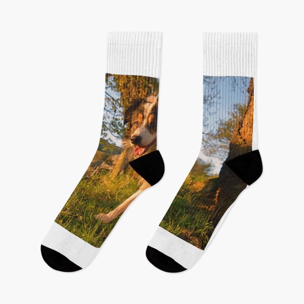Item preview, The Magic of Laddie. designed and sold by Michael Haslam.