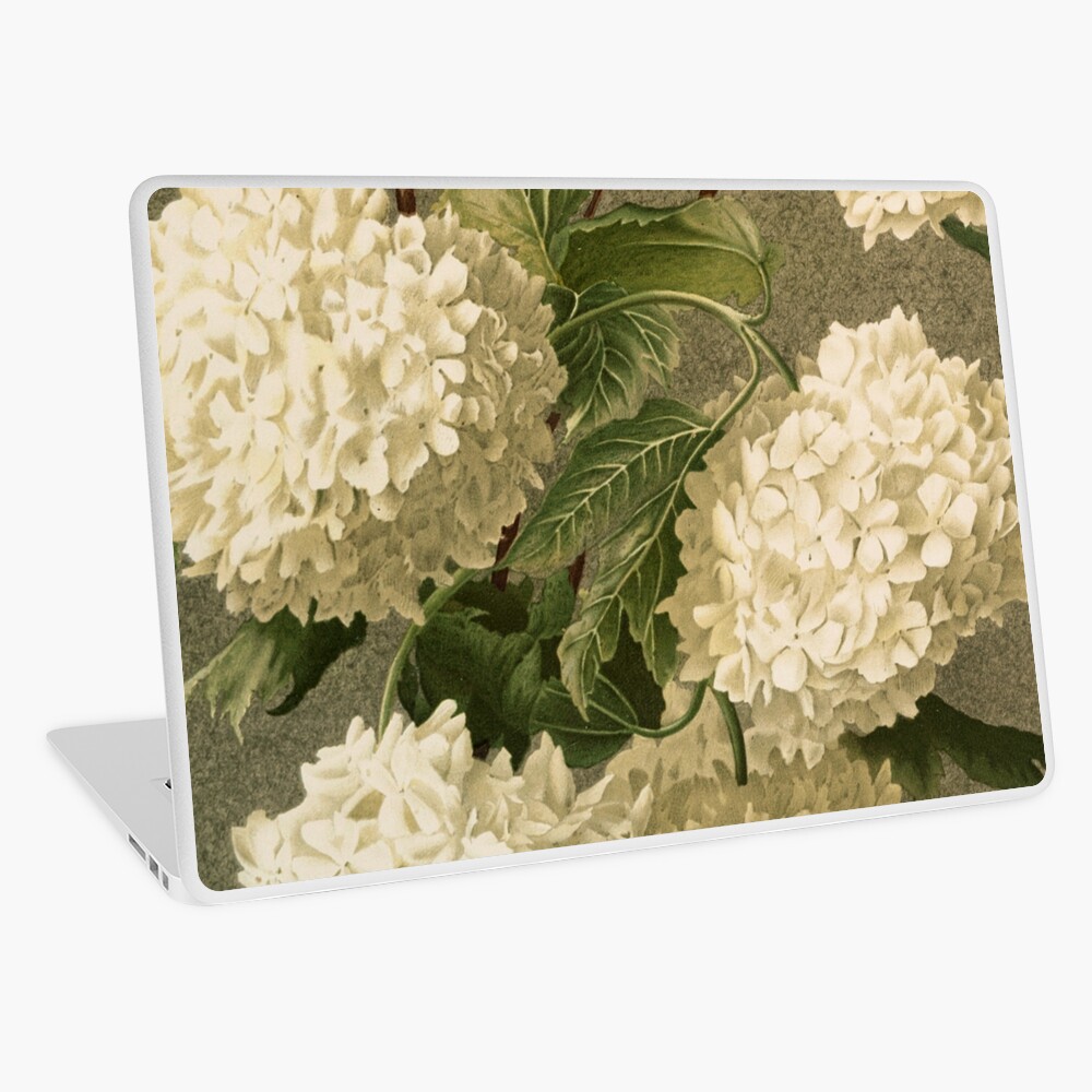 Item preview, Laptop Skin designed and sold by roseofgold.