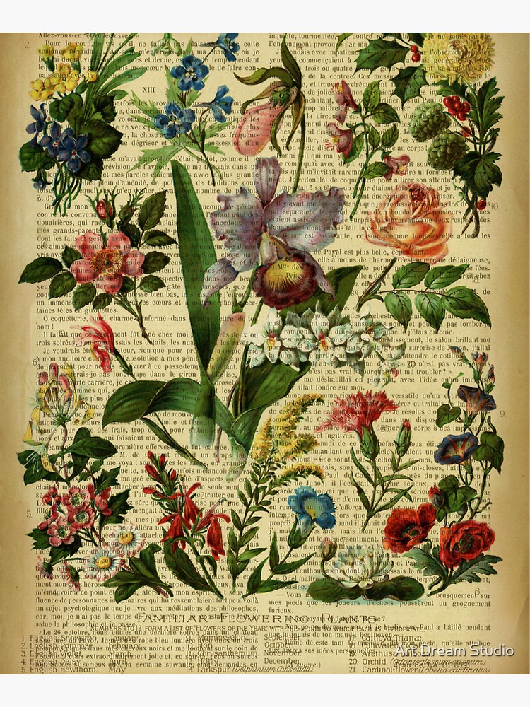 Botanical print, on old book page - Mandragora Tapestry for Sale by Art  Dream Studio