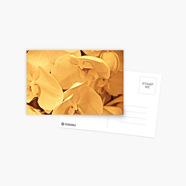 Dopey, the tender hearted/ for the Bashful Blossum series Postcard