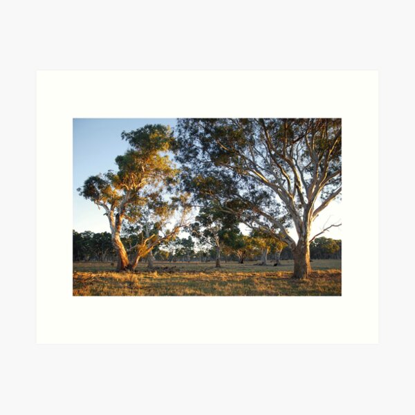 Item preview, Morning on Wattle Heath Farm designed and sold by George Petrovsky.