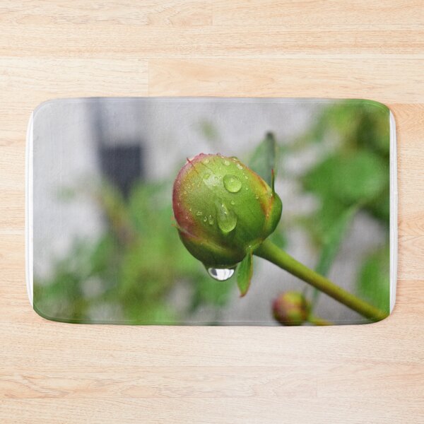 Item preview, Peony flower bud after rain designed and sold by chrispricephoto.