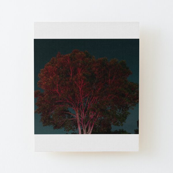 Whites Hill Red Wood Mounted Print
