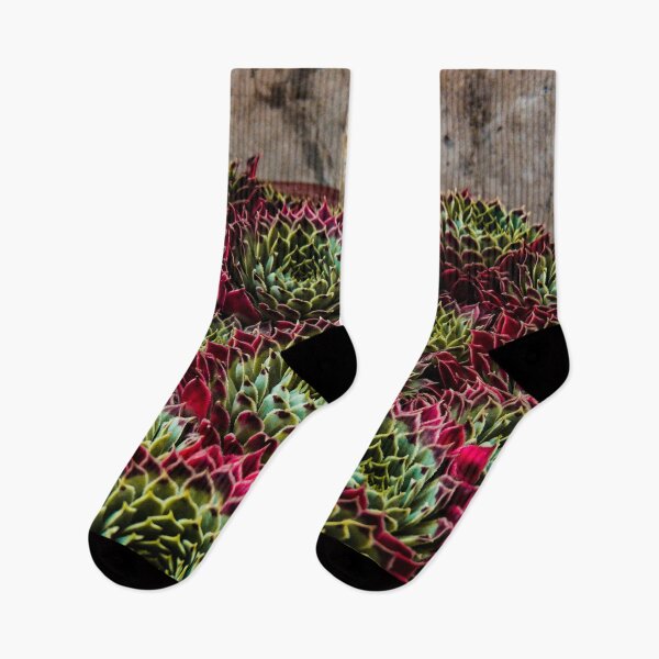 Item preview, Red Cactus designed and sold by ChloePorter17.