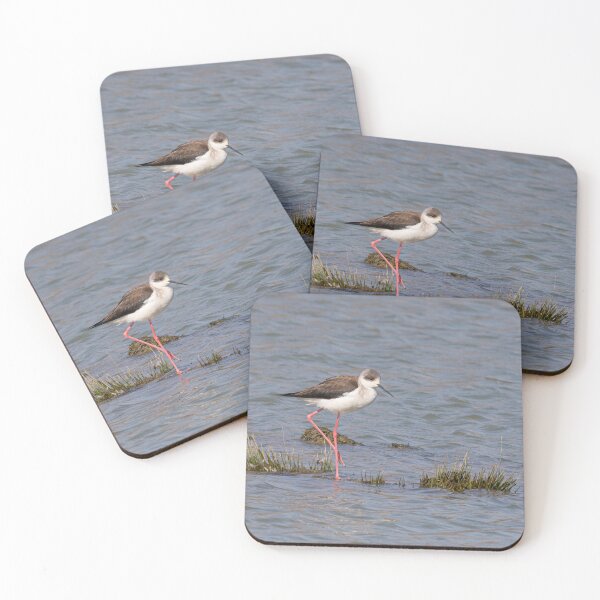 Item preview, Black-winged stilt walks in the water designed and sold by brambillasimone.