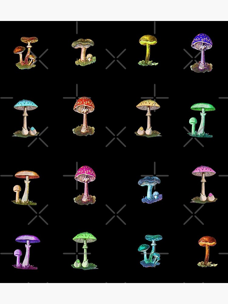 Colorful Magic Mushrooms on Black by notsniwart