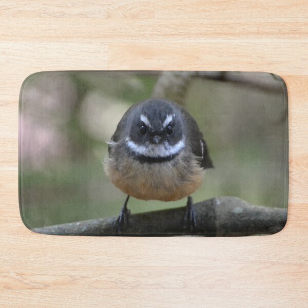 Item preview, Meep 2- Stare into my soul-New Zealand Birds designed and sold by lizdomett.