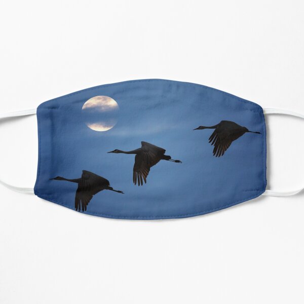 Moonlit Flight Mask