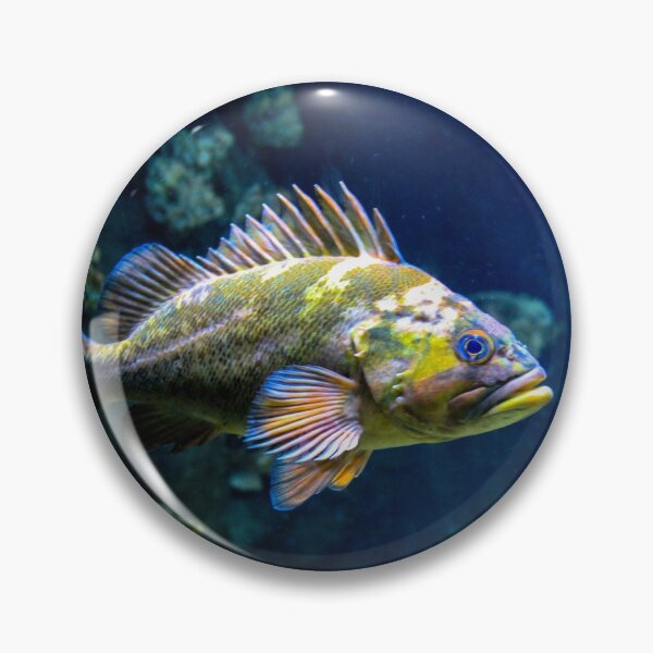 Item preview, Grumpy Rockfish designed and sold by Bonnie  Follett.
