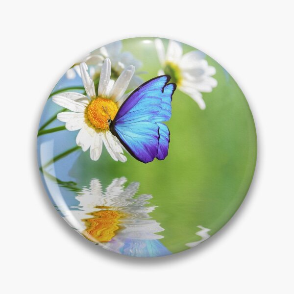 Artikelvorschau, Blue Morpho Butterly und Gänseblümchen entworfen und verkauft von FineArtography.