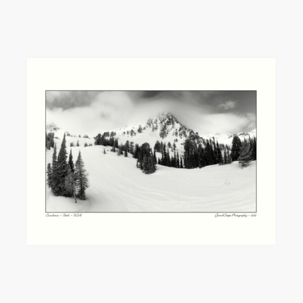 Snowbasin Art Print