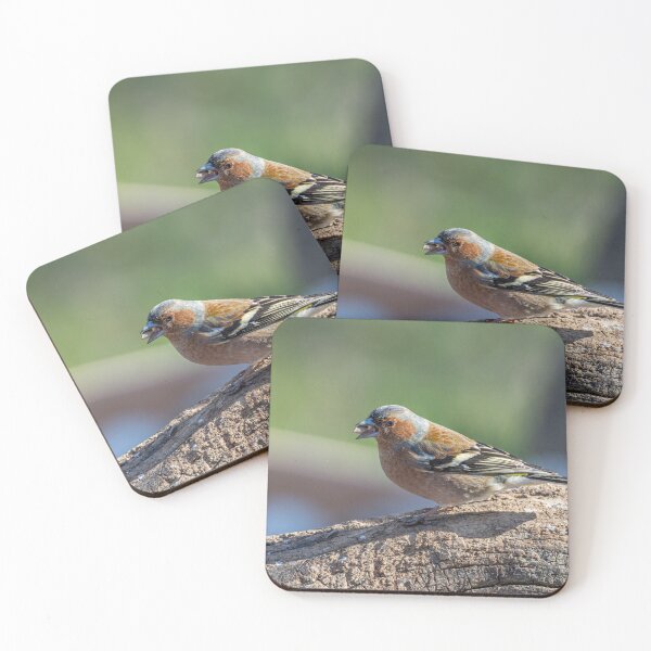 Item preview, Chaffinch resting on a branch with a seed in its beak designed and sold by brambillasimone.