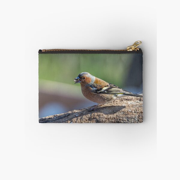 Item preview, Chaffinch resting on a branch with a seed in its beak designed and sold by brambillasimone.