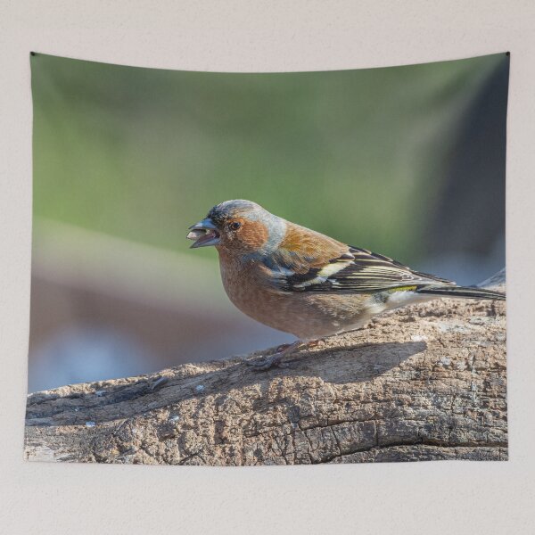 Item preview, Chaffinch resting on a branch with a seed in its beak designed and sold by brambillasimone.