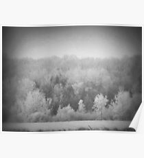 Surreal Winter Poster
