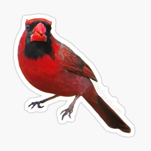 Religious Stickers — Red Bird Ministries