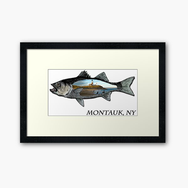 Striped Bass Wall Art Redbubble