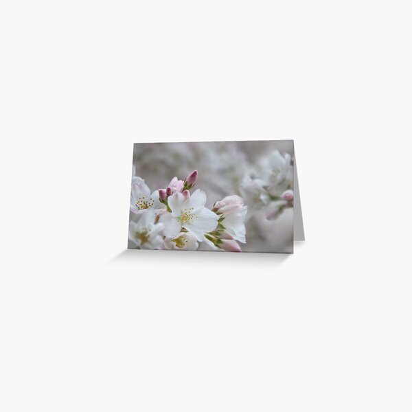 The Glory of Spring 2 Greeting Card