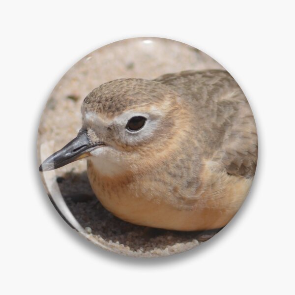 Item preview, Dotterel designed and sold by lizdomett.