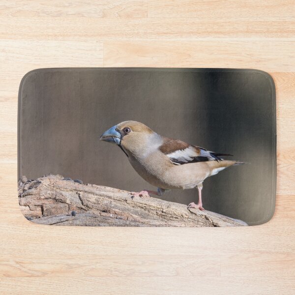Item preview, The hawfinch bird (Coccothraustes coccothraustes) Frosone comune designed and sold by brambillasimone.