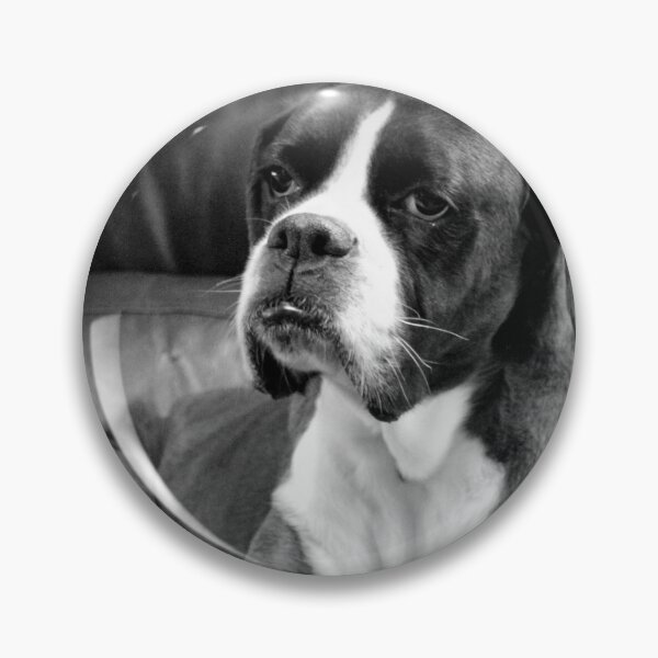 Item preview, Missing you - Boxer Dogs Series designed and sold by Evita.