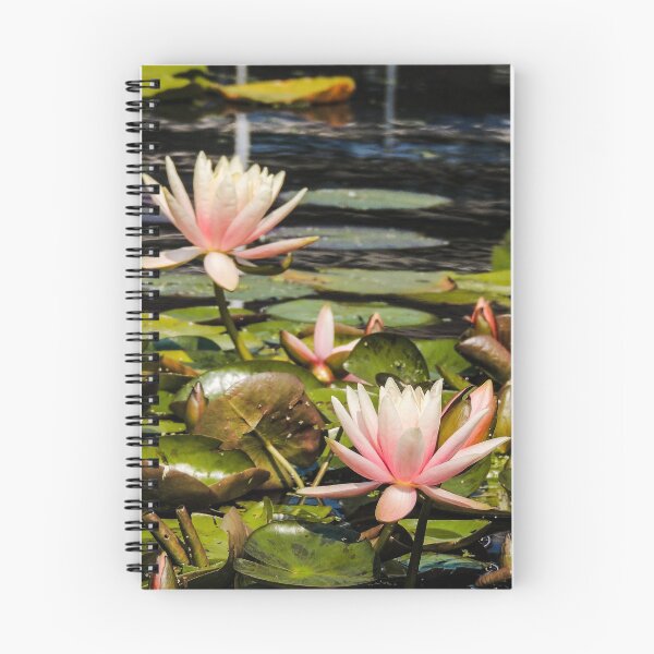 Artikelvorschau, Rosa Lotusblume entworfen und verkauft von ChloePorter17.