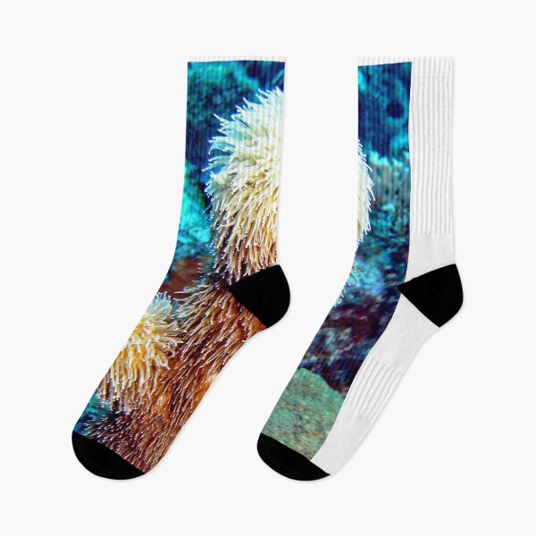 Item preview, Corky Sea Finger feeding on the Caribbean currents designed and sold by Amy McDaniel.