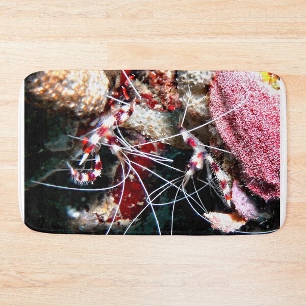 Item preview, Banded Cleaner Shrimp on the Coral Reef designed and sold by Amy McDaniel.