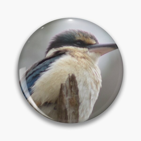 Item preview, Mellons Bay Kingfisher designed and sold by lizdomett.