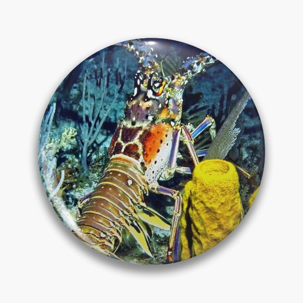 Artikelvorschau, Caribbean Reef Lobster at Night entworfen und verkauft von Amy McDaniel.
