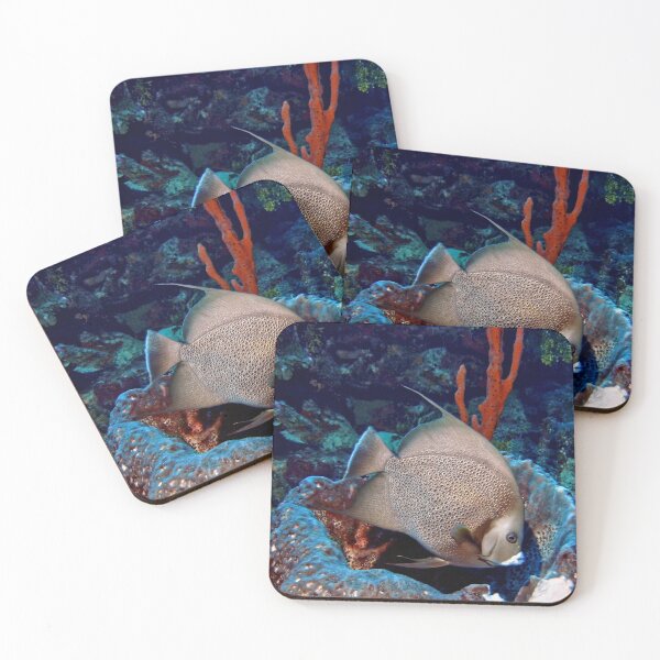 Item preview, Caribbean Grey Angel Fish along a Coral Reef  designed and sold by Amy McDaniel.