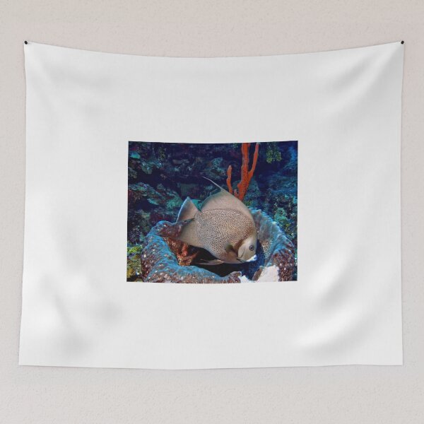 Item preview, Caribbean Grey Angel Fish along a Coral Reef  designed and sold by Amy McDaniel.