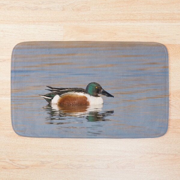 Item preview, The northern shoveler (Spatula clypeata) Mestolone (male duck) designed and sold by brambillasimone.