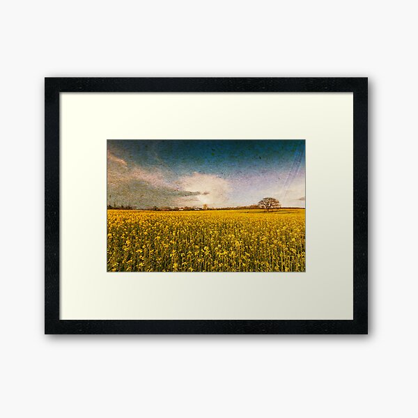 Turn of Summer Framed Art Print