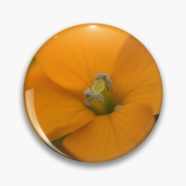 Item preview, Orange wildflowers 1 designed and sold by Tonia Delozier's Photography .