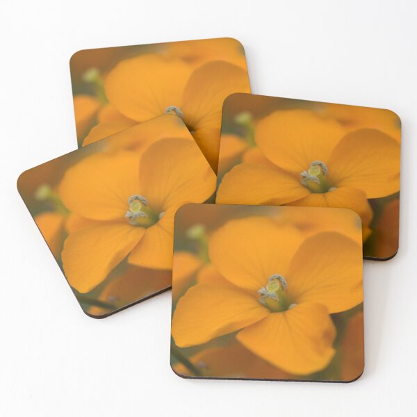 Artikelvorschau, Orange Wildblumen 1 entworfen und verkauft von Tonia Delozier's Photography .