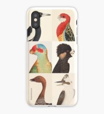 Australian birds iPhone Case