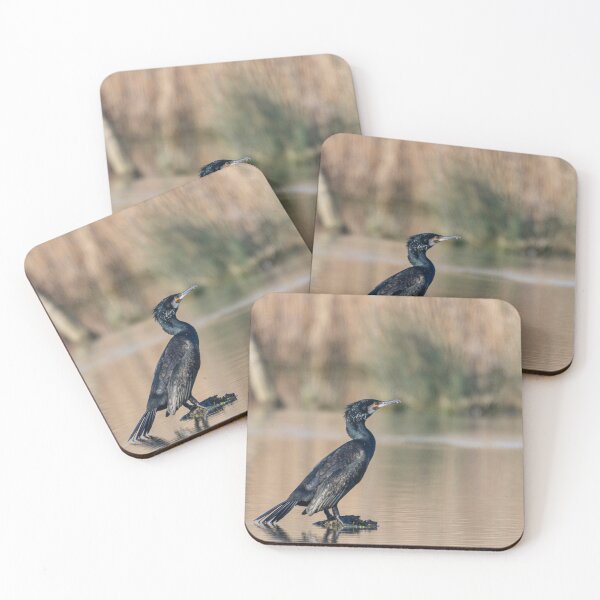 Item preview, Great cormorant resting on a small stone designed and sold by brambillasimone.