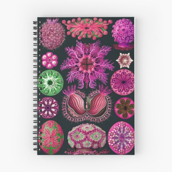 Item preview, Ernst Haeckel Ascidiae Sea Squirts Magenta designed and sold by aimeewilson.