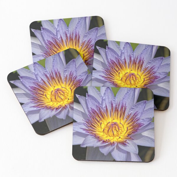 Item preview, Purple Lotus designed and sold by GeorgeBuxbaum.