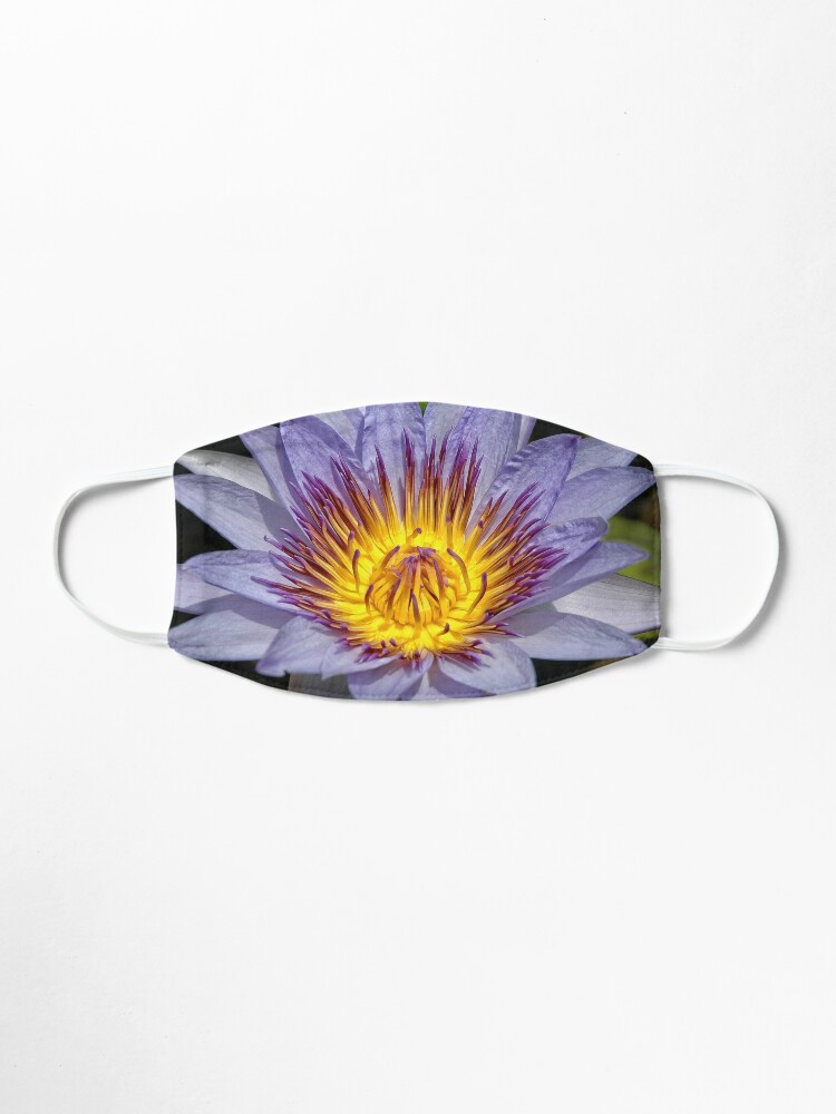 Download Purple Lotus Mask By Georgebuxbaum Redbubble PSD Mockup Templates