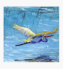 Flying Crane Photographic Print