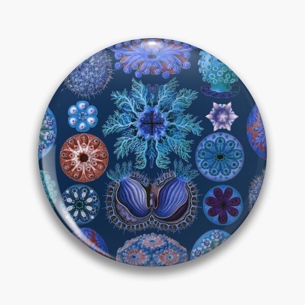 Item preview, Ernst Haeckel Ascidiae Sea Squirts Vivid Blue designed and sold by aimeewilson.
