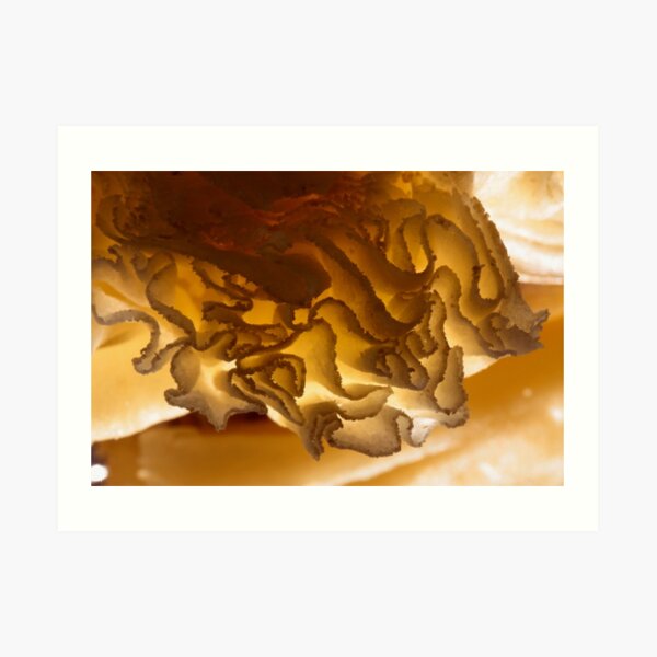 gold? what is this? Art Print