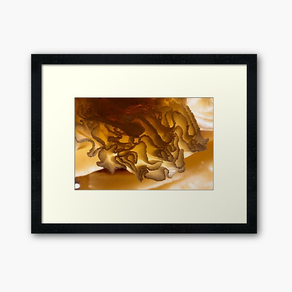 gold? what is this? Framed Art Print